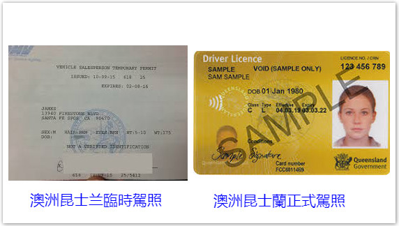 qld-driver-license